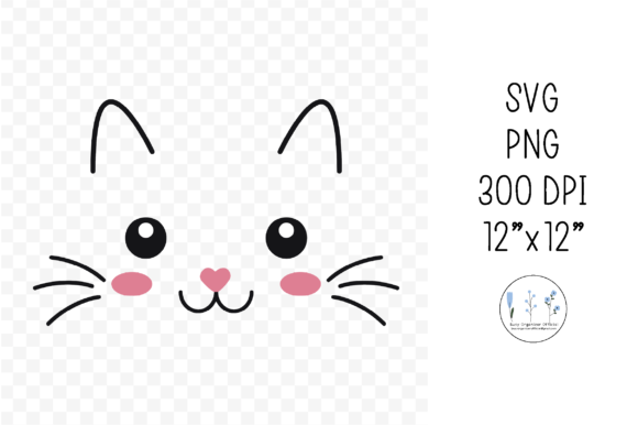 Download Cat Face Kitten Lashes Whiskers Pet - Kitten Collection