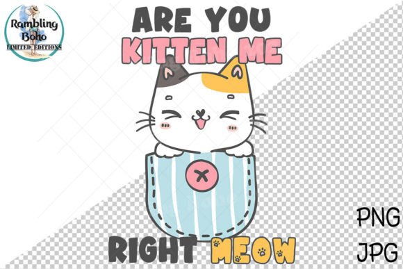 Download Sassy Cute Kitten Quote Meow Cat - Kitten Collection